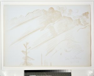 雲と木々のある山の風景