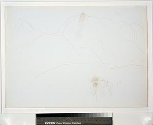木の塊のある山の風景