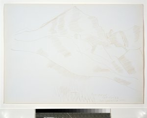 家と松の木のある山の風景