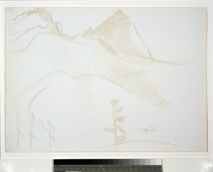 松の木のある山の風景