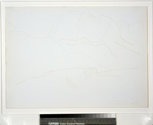 木々のある山の風景