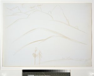 2本の松の木がある山の風景
