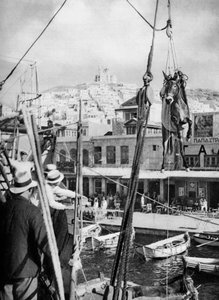 ラバの輸送、ギリシャ、シロス島、1937。 作： Martin Hurlimann