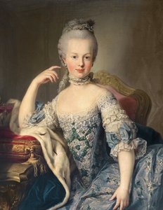 マリー・アントワネット（1755～1793）の肖像 フランスの未来の