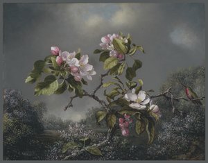 Apple Blossoms and Hummingbird、1871 作： Martin Johnson Heade