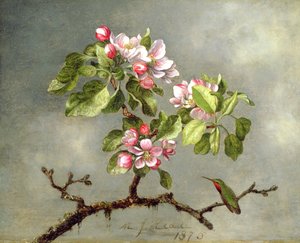 リンゴの花とハチドリ、1875 作： Martin Johnson Heade