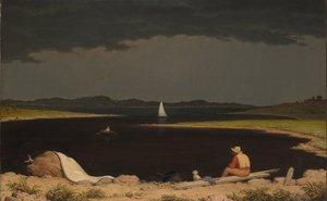 雷嵐に近づいています 作： Martin Johnson Heade