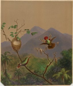 ブラジルのハチドリ III 作： Martin Johnson Heade