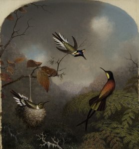 ハチドリ：2つのSungemと1つのクリムゾントパーズ、1866 作： Martin Johnson Heade