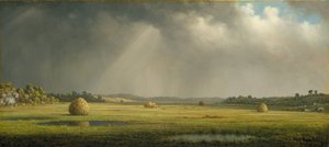 ニューベリーポートメドウズ、c.1876–81（キャンバスに油彩）