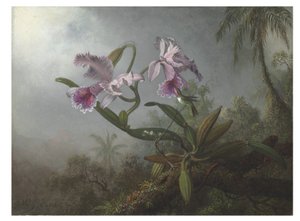 ピンクの蘭と小枝のハチドリ、1875