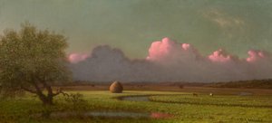  作： Martin Johnson Heade