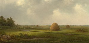 マーシュフィールドの眺め 作： Martin Johnson Heade