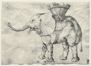 ハウダーの象c。 1485。 作： Martin Schongauer