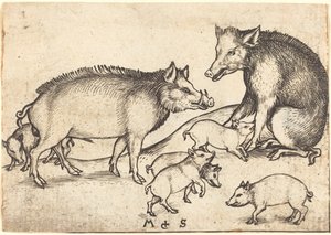 豚の家族 作： Martin Schongauer