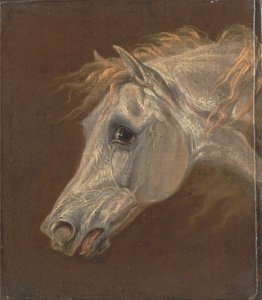 灰色のアラビア馬の頭 作： Martin Theodore Ward
