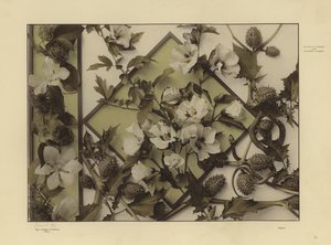 Martin Gerlach の Festons と装飾グループの 1 つ (白黒写真) 作： Martin senior Gerlach