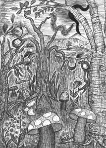 キノコのある風景 作： Martina Konitzky