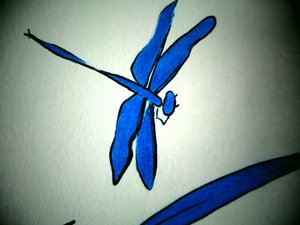 トンボ（詳細） 作： Martina Konitzky