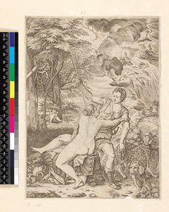 金星とアドニス、1560年〜1580年頃 作： Martino Rota