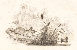Heyさんの「半百童話」の挿絵です。 作： Martinus Rørbye