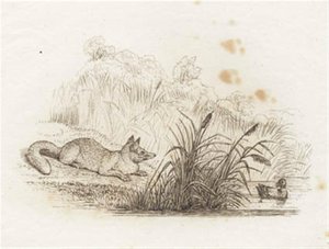 Heyさんの「半百童話」の挿絵です。 作： Martinus Rørbye