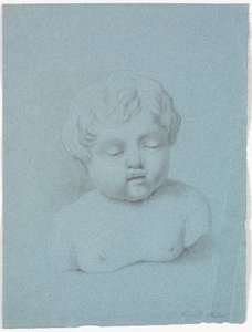 子供のバストの研究