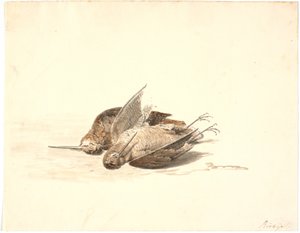 二匹の死んだスナイプ 作： Martinus Rørbye