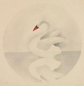 白鳥。 作： Mary Altha Nims