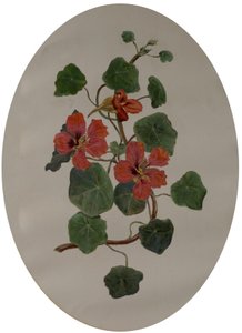 ナスタチウム、1870年頃（紙に油彩） 作： Mary Dakeyne Townroe