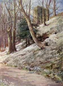 スコットランドの庭園アードゴワン（カラーリトグラフ 作： Mary Georgina Wade Wilson