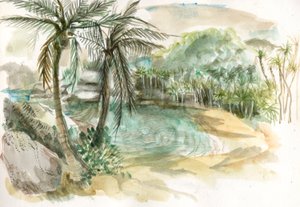 ビーチ、チロナ、コロンビア