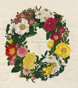 バラの花輪、1799 年。 作： Mary Lawrence