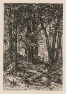 トーマスモランアメリカン、1837-1926年、1888年後のカリフォルニアの森の内部。 作： Mary Nimmo Moran