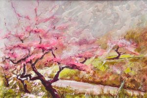 山のアーモンドの花