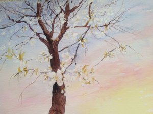 白い桜 作： Mary Smith