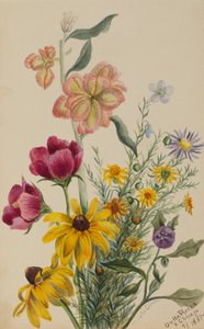 花のグループ、1881年。