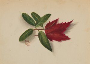 無題」1873年