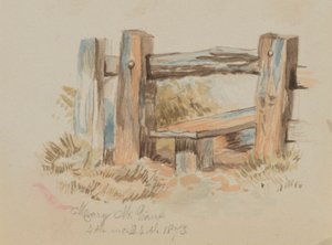 無題のスタイル」1873年 作： Mary Vaux Walcott