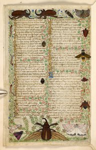 追加。 28841、f.4v：美徳と悪徳に関する論文、およびシチリアの匿名の散文史（断片）、c.1330-40（ベラム）からの蛾と角のあるカブトムシ