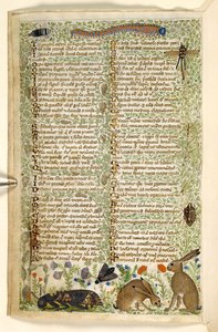 追加。 28841、f.6v：美徳と悪徳に関する論文、およびシチリアの匿名の散文史（断片）、c.1330-40（ベラム）からの毛虫、トンボ、蛾を含むウサギと昆虫