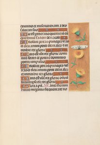 女王イザベラカトリック、スペイン女王の時間：フォル。 103r、c。 1500。 作： Master of the First Prayerbook of Maximillian