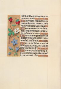 女王イザベラカトリック、スペイン女王の時間：フォル。 105v、c。 1500。 作： Master of the First Prayerbook of Maximillian