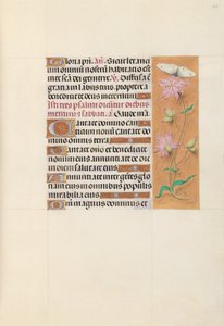 スペイン女王イザベラの時間：  フォル107r 作： Master of the First Prayerbook of Maximillian
