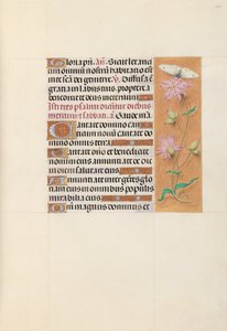 スペイン女王イザベラ女王の時間：フォル。 107r、c。 1500。 作： Master of the First Prayerbook of Maximillian