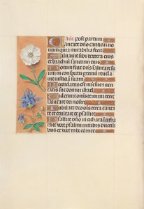 女王イザベラカトリック、スペイン女王の時間：フォル。 109v、c。 1500。 作： Master of the First Prayerbook of Maximillian