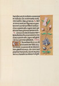 女王イザベラカトリック、スペイン女王の時間：フォル。 111r、c。 1500。 作： Master of the First Prayerbook of Maximillian