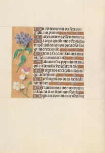 スペイン女王イザベラ女王の時間：フォル。 113v、c。 1500。 作： Master of the First Prayerbook of Maximillian
