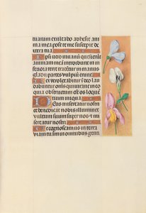 女王イザベラカトリック、スペイン女王の時間：フォル。 118r、c。 1500。 作： Master of the First Prayerbook of Maximillian