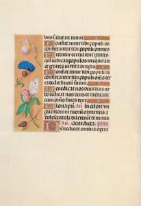 女王イザベラカトリック、スペイン女王の時間：フォル。 118v、c。 1500。 作： Master of the First Prayerbook of Maximillian